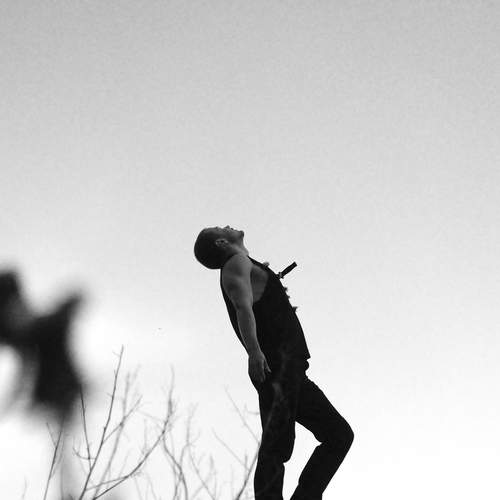 Photo #13699074