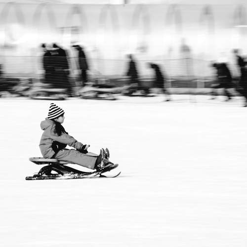 Photo #13699076