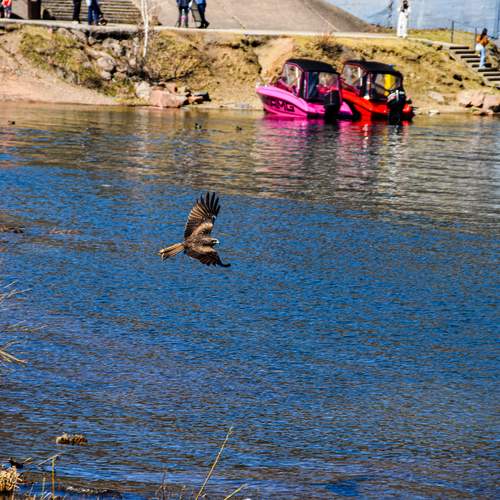 Photo #13699202