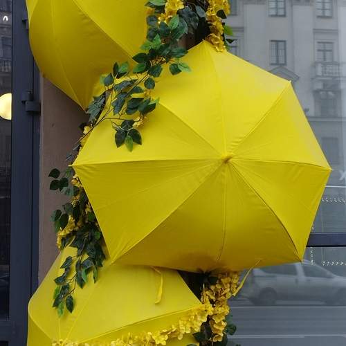 Photo #13699249