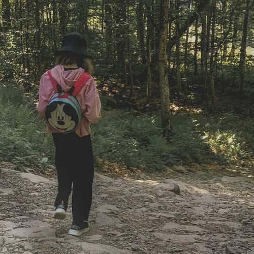 Photo #13699276