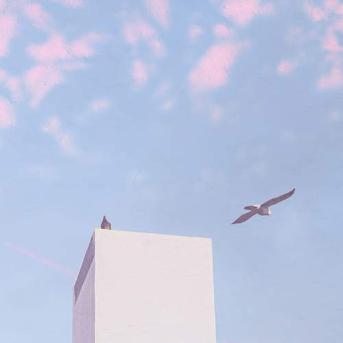 Photo #13699282