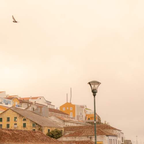 Photo #13699283