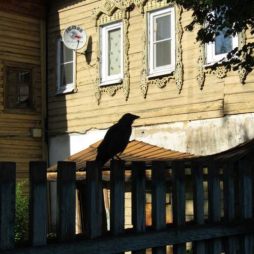 Photo #13699295