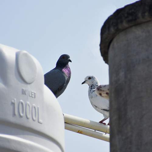 Photo #13699401