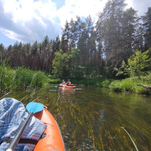 Photo #13699465