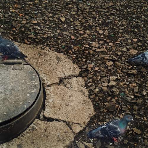 Photo #13699541
