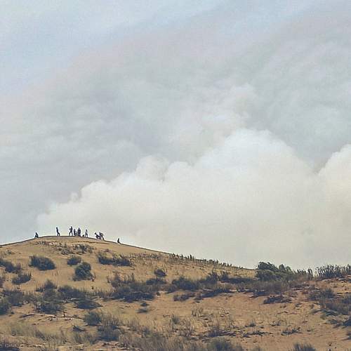 Photo #13699545
