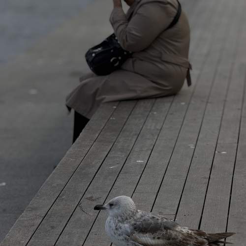 Photo #13699561