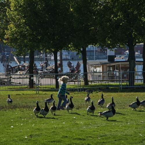 Photo #13699585