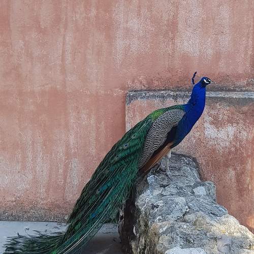 Photo #13699606