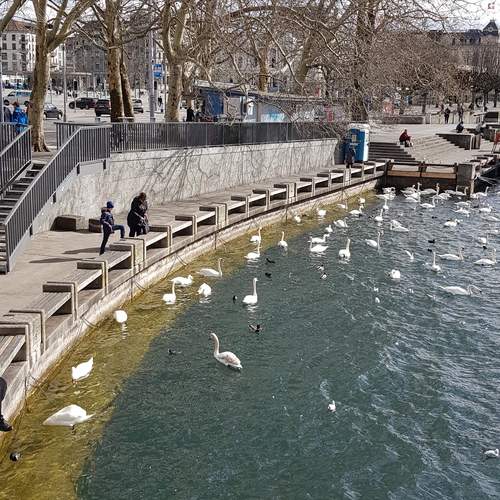 Photo #13699607