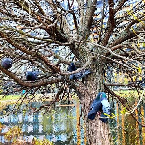 Photo #13699636