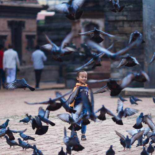 Photo #13699663