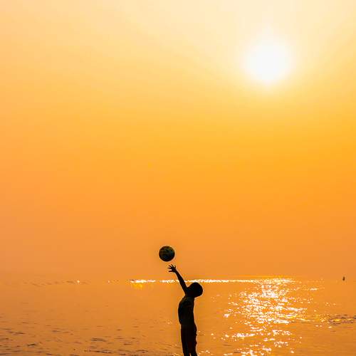 Photo #13699666