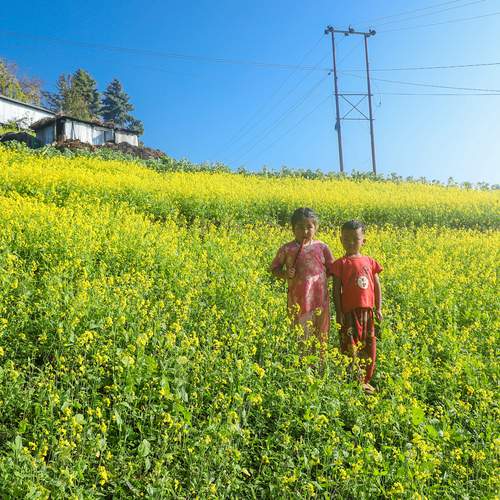 Photo #13699667