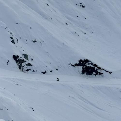 Photo #13699684