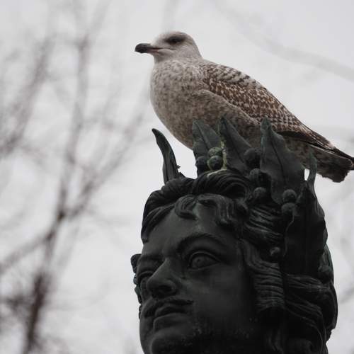 Photo #13699737