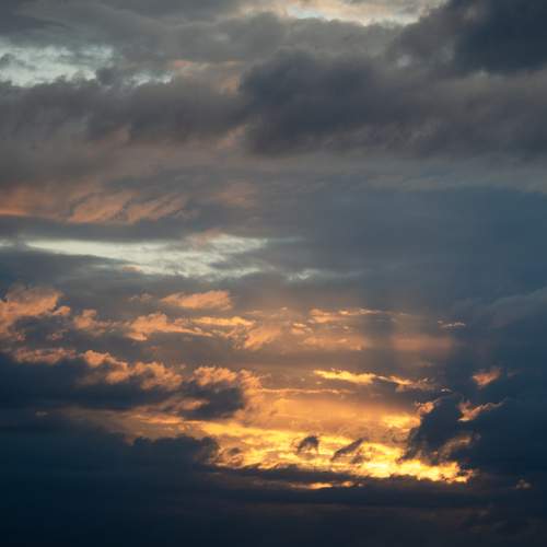 Photo #13699769