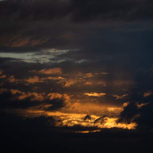 Photo #13699770