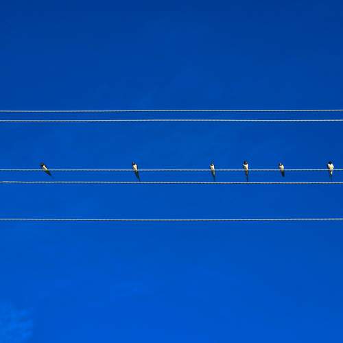 Photo #13699798