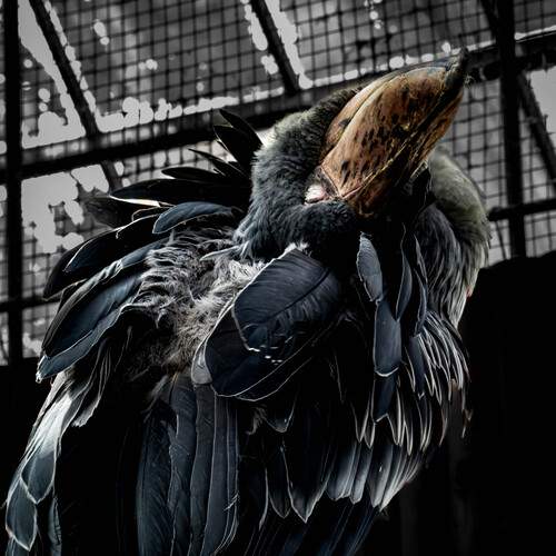 Photo #13699800