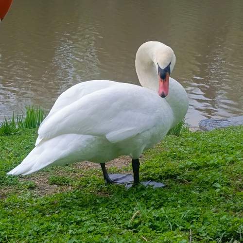 Photo #13699809