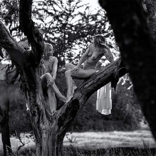 Photo #13699864