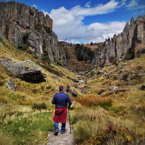 Photo #13699906