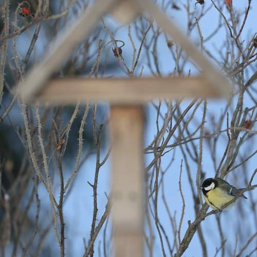 Photo #13699952
