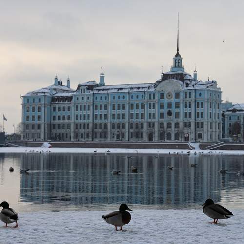 Photo #13699954