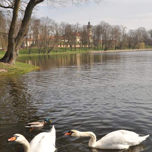 Photo #13699975