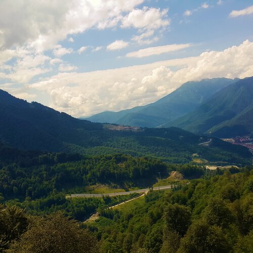 Photo #1371137