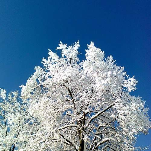 winter
