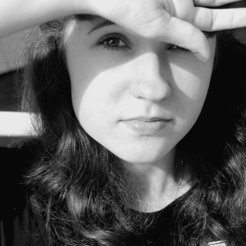 Sun and Shadows.