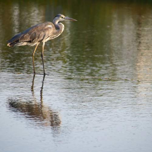 Photo #13700023