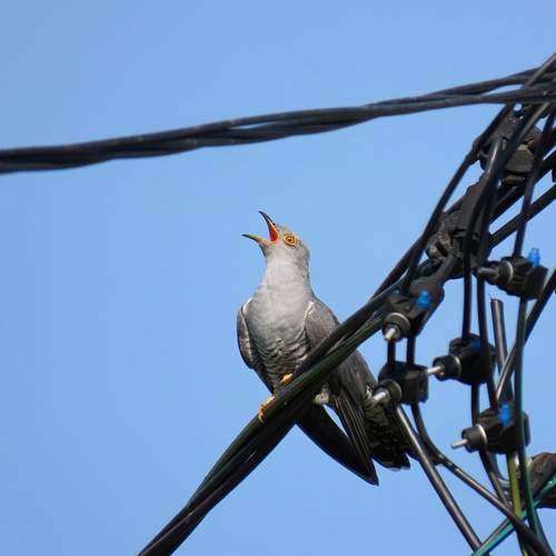 Photo #13700026