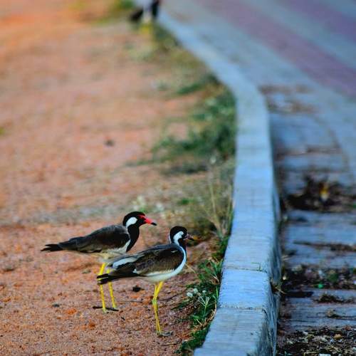 Photo #13700087