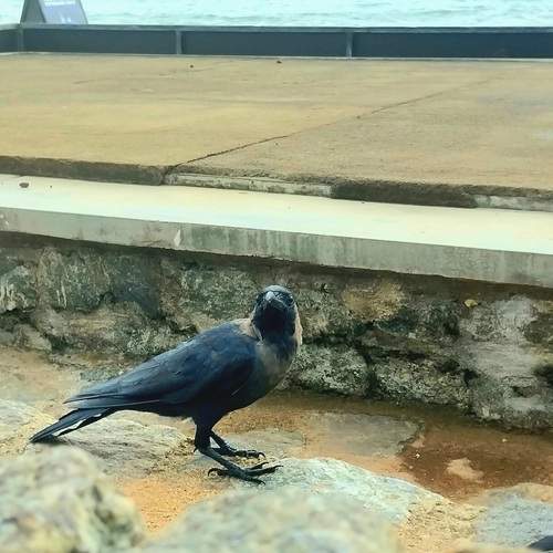 Photo #13700098