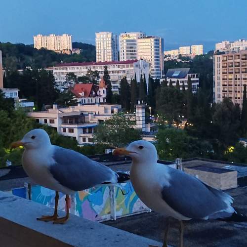 Photo #13700166