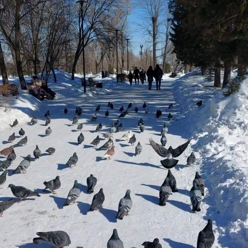 Photo #13700219
