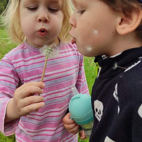 Photo #13700306