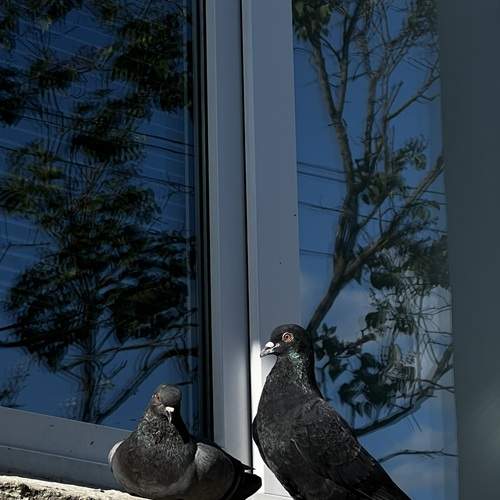 Photo #13700414