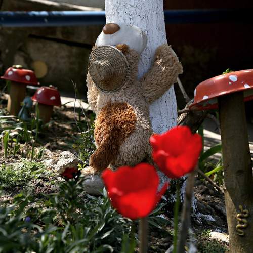 Photo #13700445