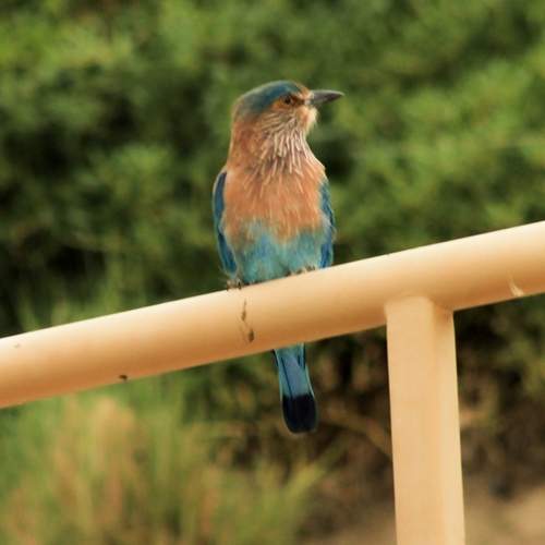 Photo #13700489