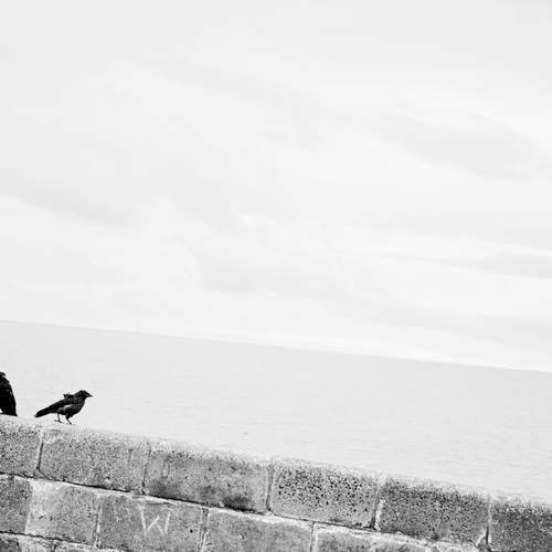 Photo #13700539