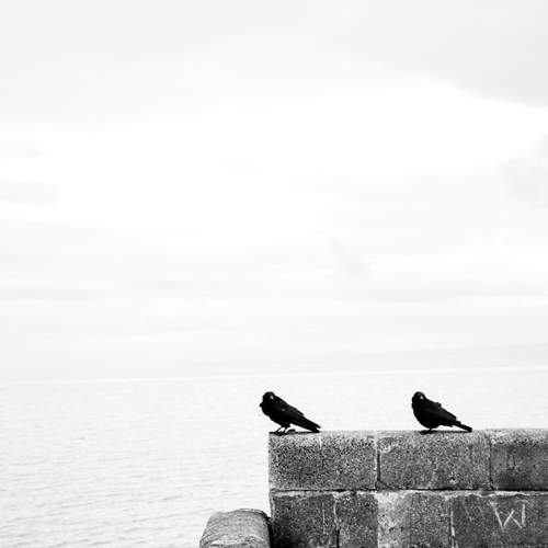 Photo #13700540