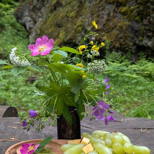 Photo #13700564