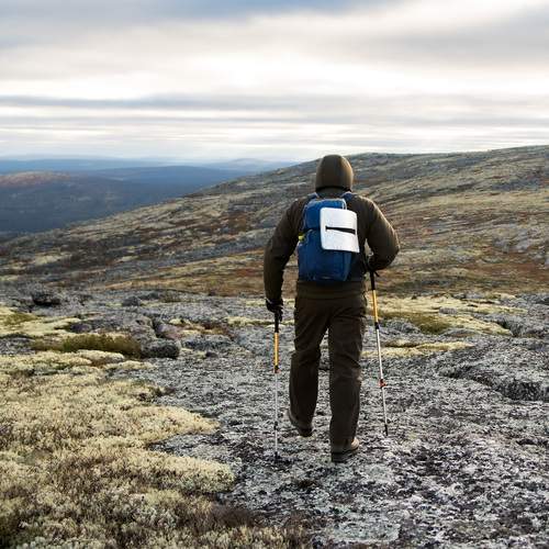Photo #13700569