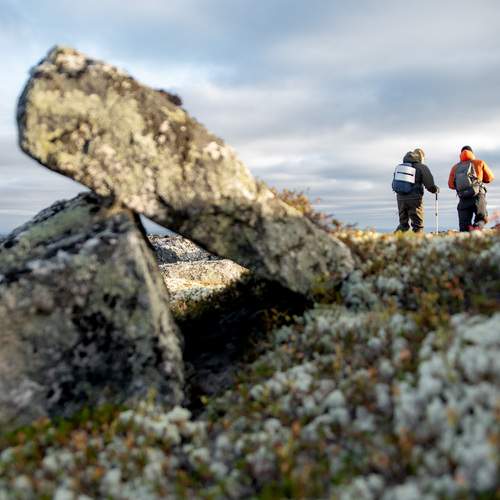 Photo #13700571
